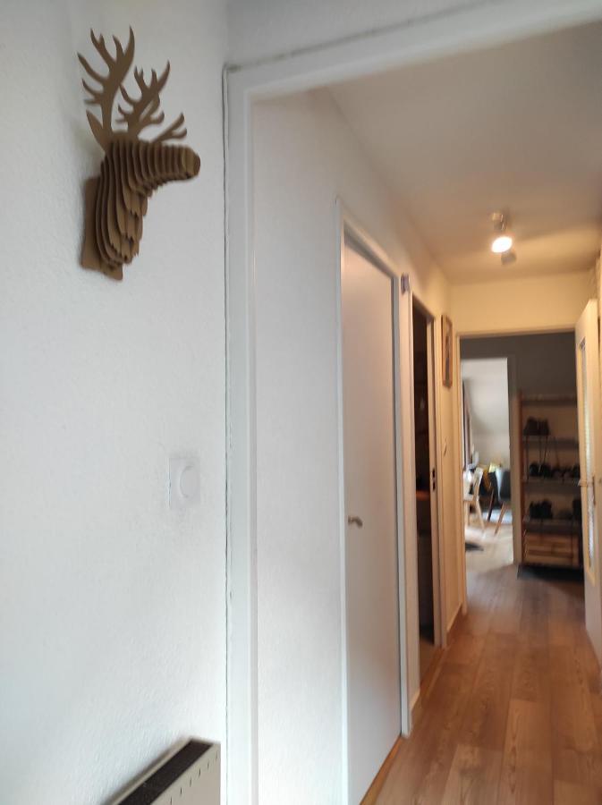 Appartement Vue Montagne, Cosy Et Chaleureux Μπριανσόν Εξωτερικό φωτογραφία